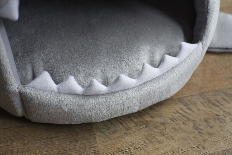 Shark Design Bed for Pet
