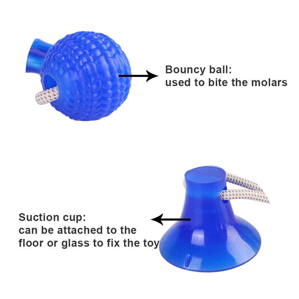 Dog Interactive Suction Cup Toy