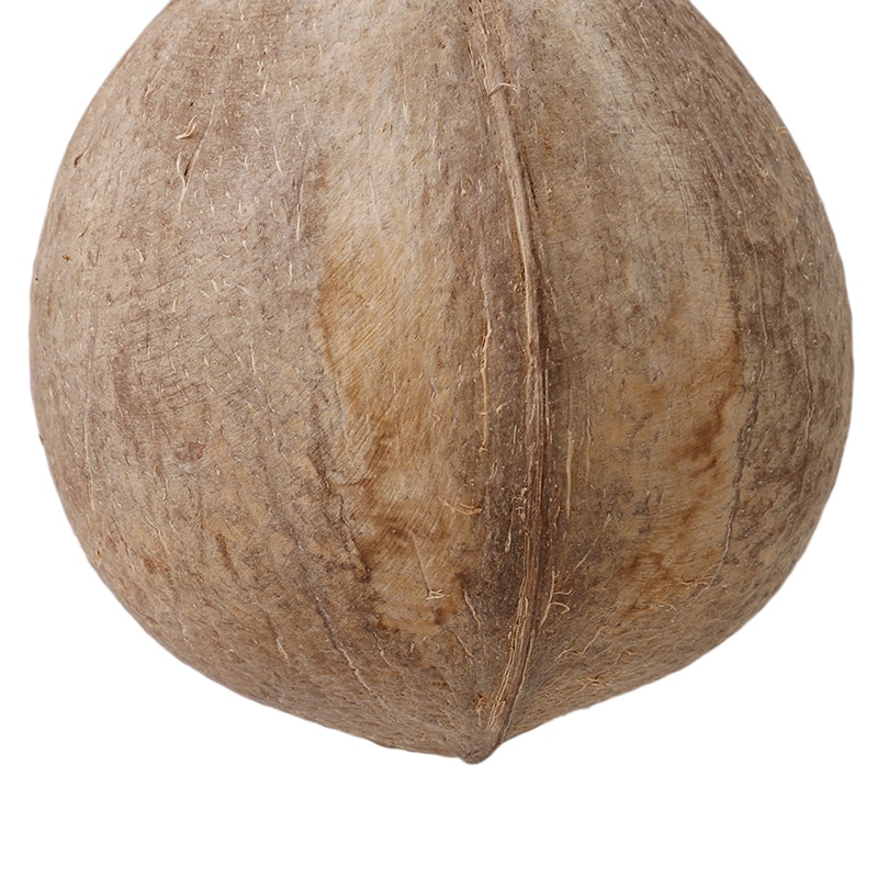 Small Bird Nesting House