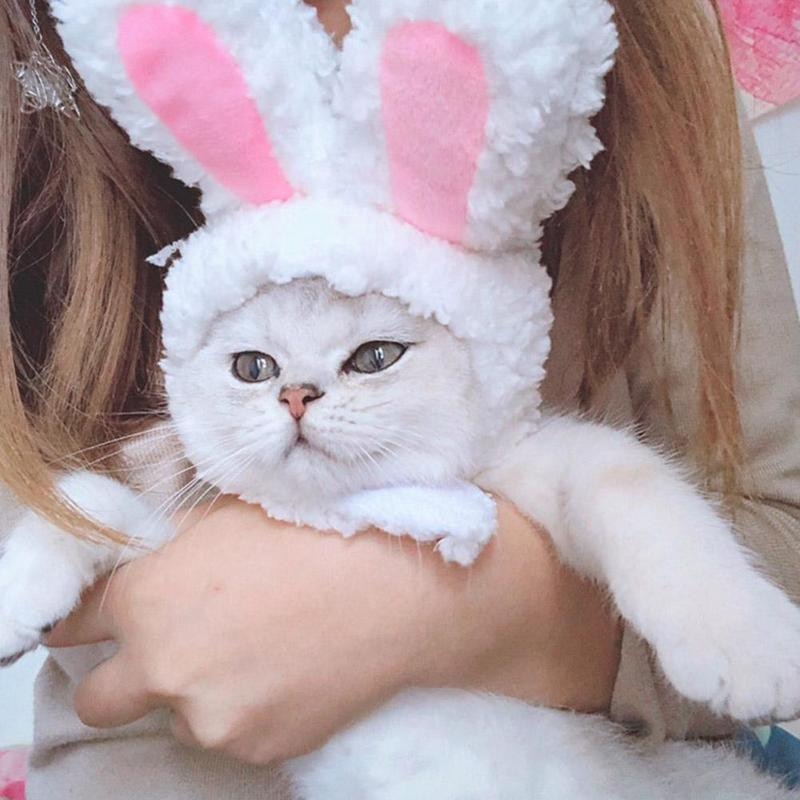 Rabbit Ears Shaped Hat for Pets