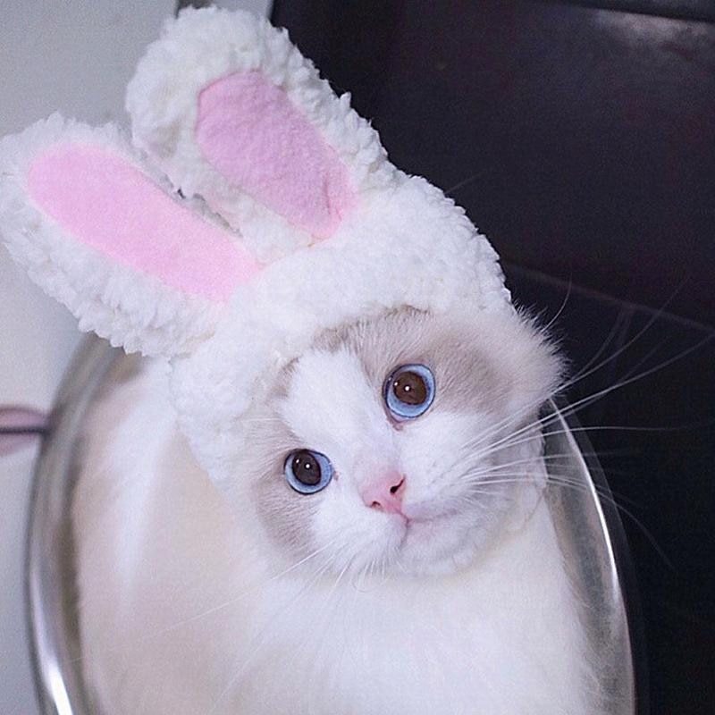 Rabbit Ears Shaped Hat for Pets