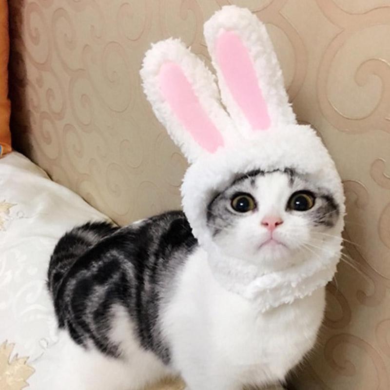 Rabbit Ears Shaped Hat for Pets
