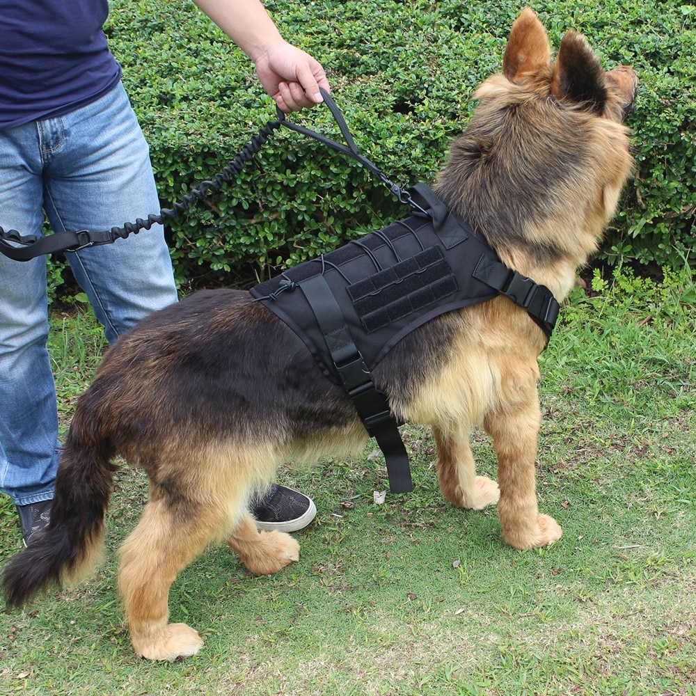 Dog Harness and Leash Set With Nylon Handle Dog Harness and Leash Set With Nylon Handle