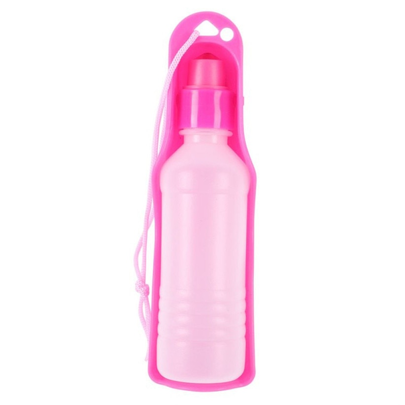 Dogs Outdoor Portable Water Bottle