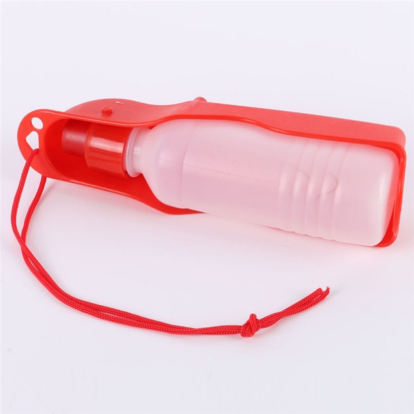 Dogs Outdoor Portable Water Bottle