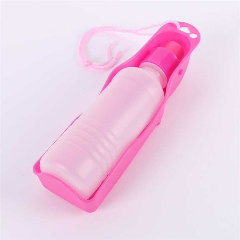 Dogs Outdoor Portable Water Bottle