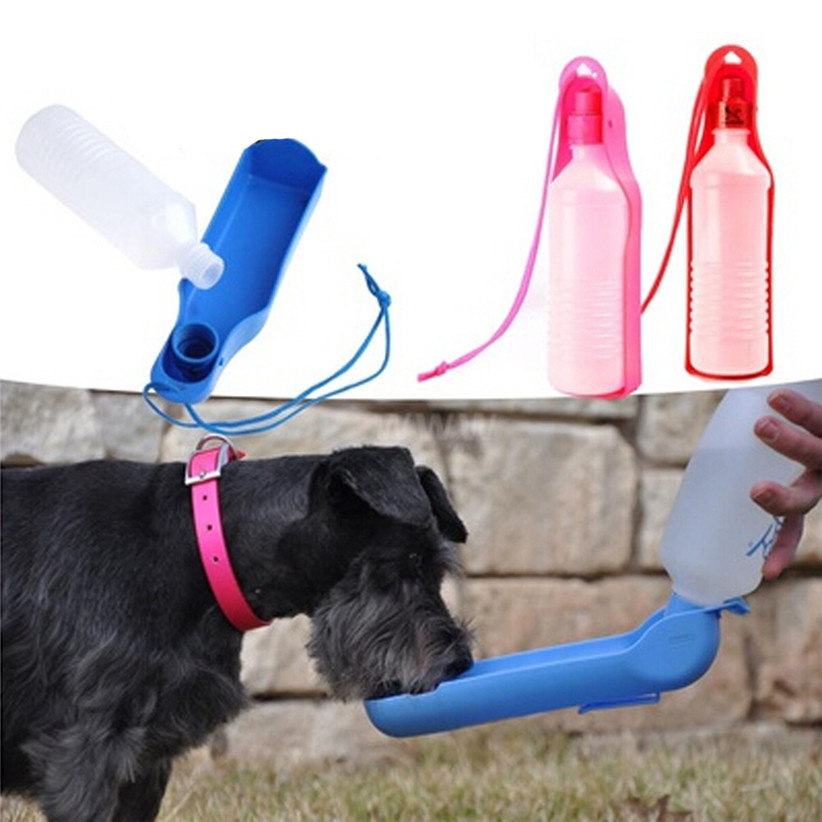 Dogs Outdoor Portable Water Bottle