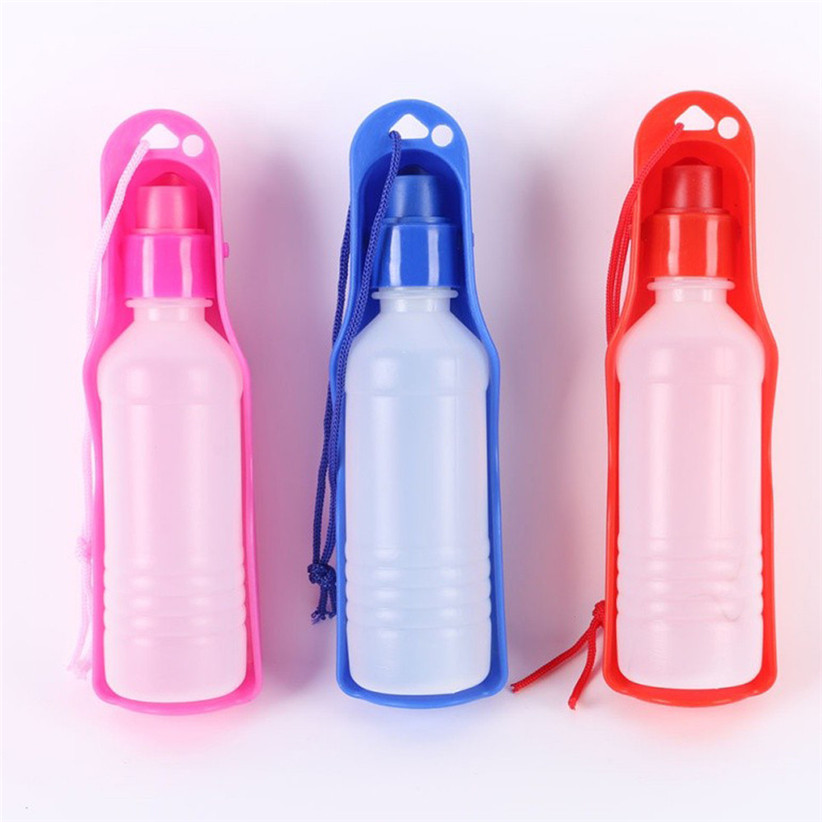 Dogs Outdoor Portable Water Bottle