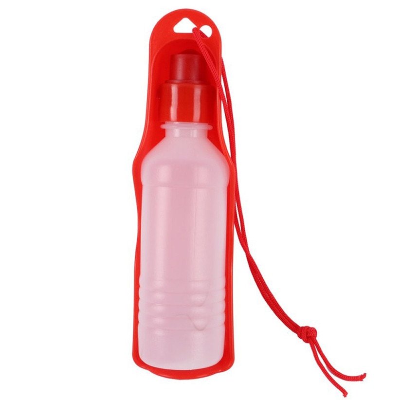 Dogs Outdoor Portable Water Bottle