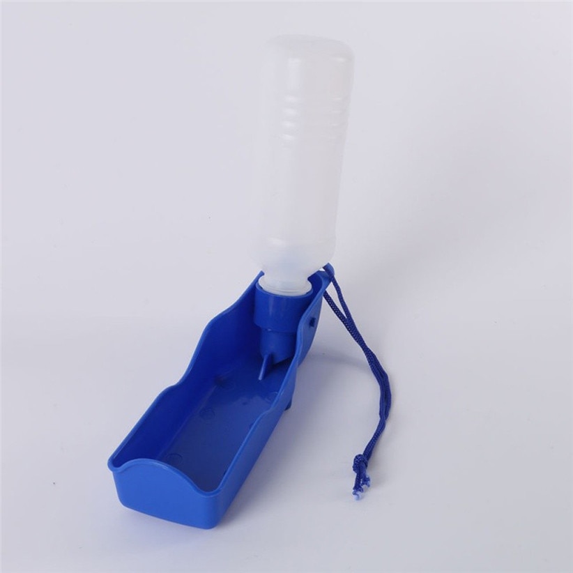 Dogs Outdoor Portable Water Bottle