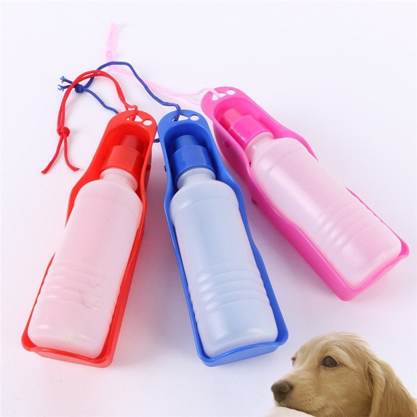 Dogs Outdoor Portable Water Bottle