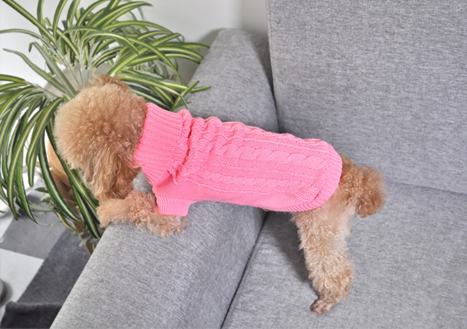 Cat's Turtleneck Knitted Sweater