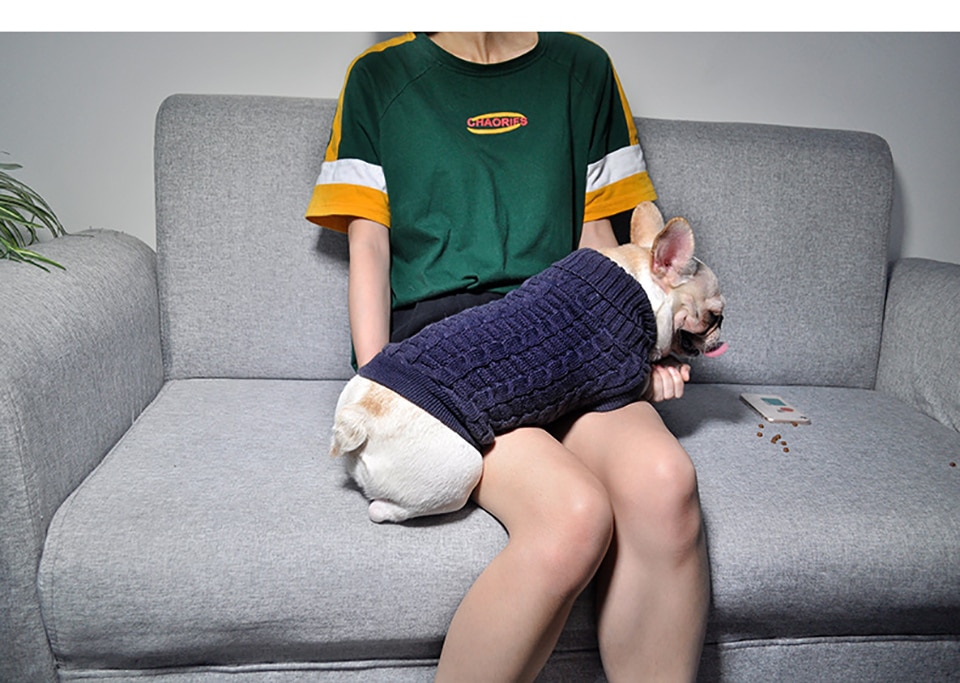 Cat's Turtleneck Knitted Sweater