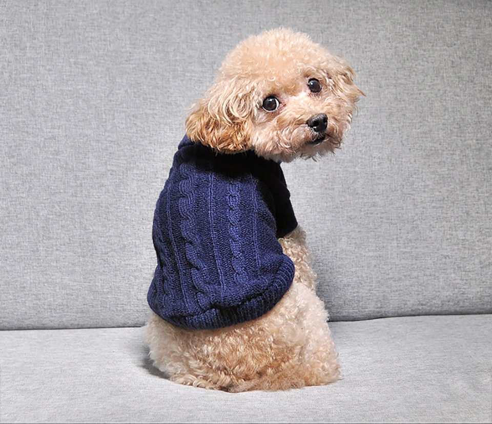 Cat's Turtleneck Knitted Sweater