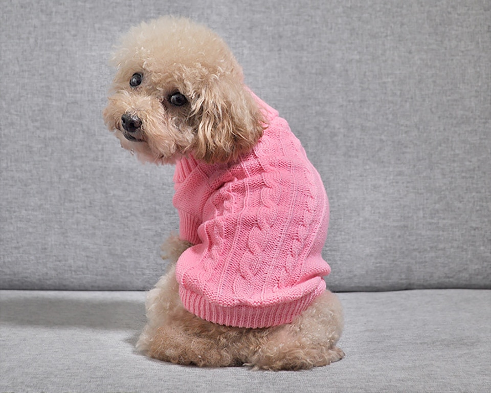 Cat's Turtleneck Knitted Sweater
