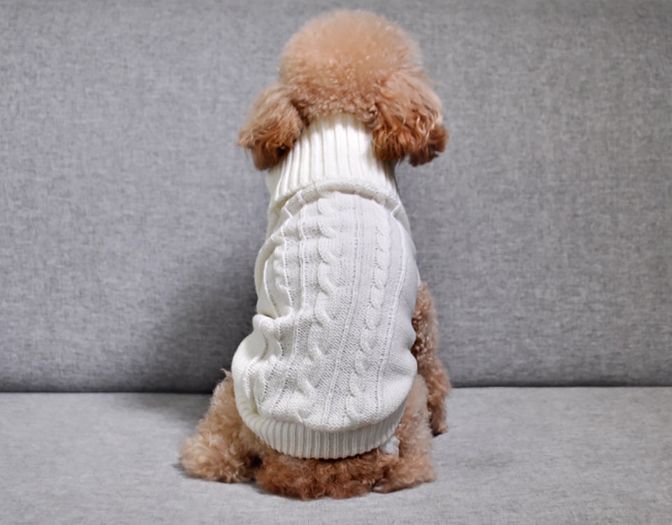 Cat's Turtleneck Knitted Sweater