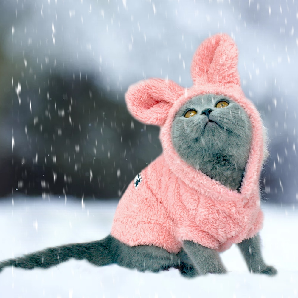 Cat's Cute Ears Hood Plush Jacket