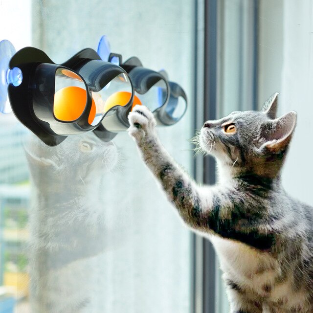 Cat Interactive Ball Toy