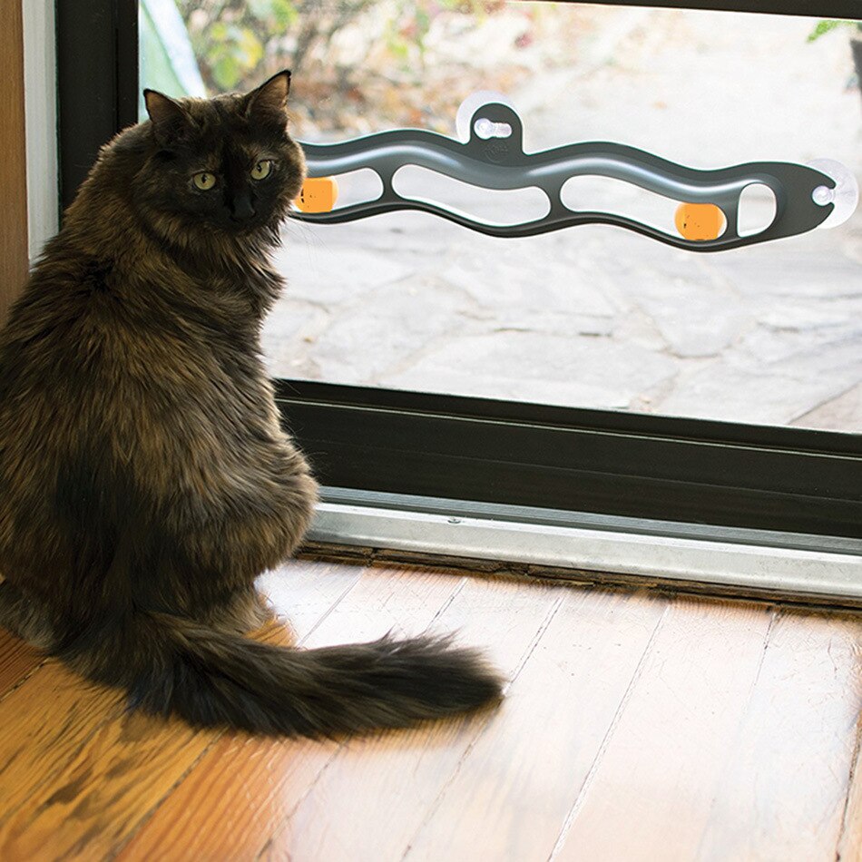 Cat Interactive Ball Toy